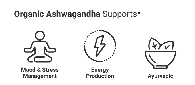 Adaptogen a benefity Ashwagandha